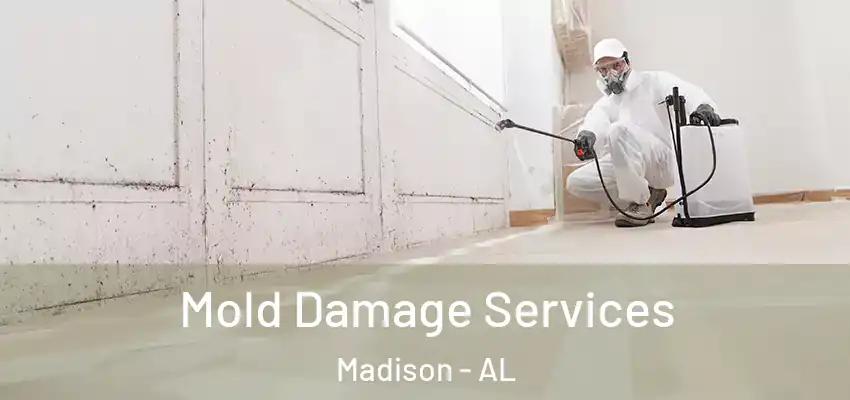  Mold Damage Services Madison - AL