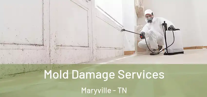  Mold Damage Services Maryville - TN