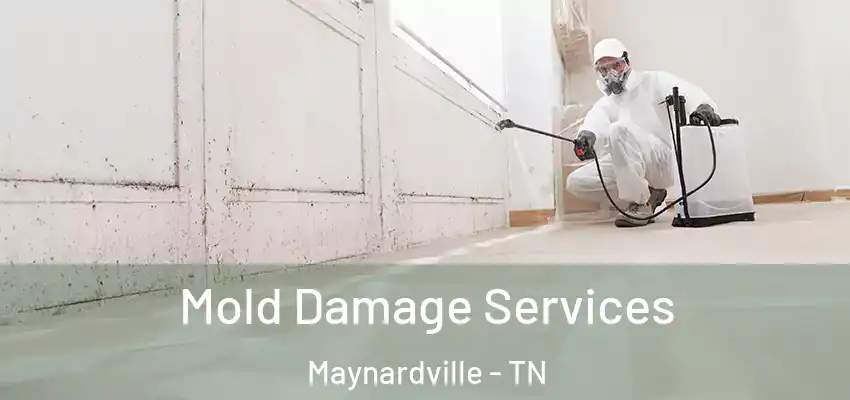  Mold Damage Services Maynardville - TN