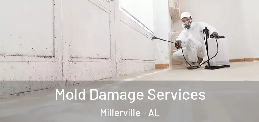  Mold Damage Services Millerville - AL