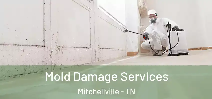  Mold Damage Services Mitchellville - TN