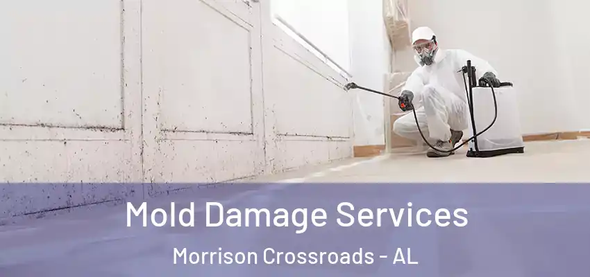  Mold Damage Services Morrison Crossroads - AL