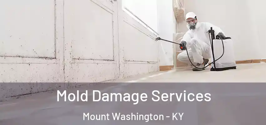 Mold Damage Services Mount Washington - KY
