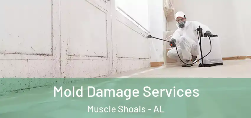  Mold Damage Services Muscle Shoals - AL