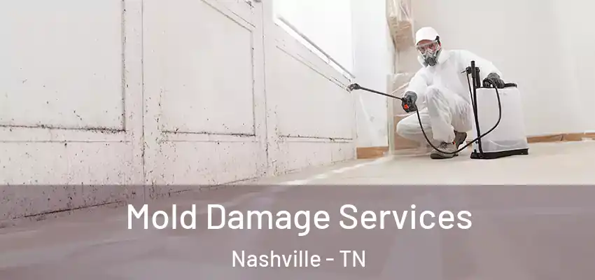  Mold Damage Services Nashville - TN