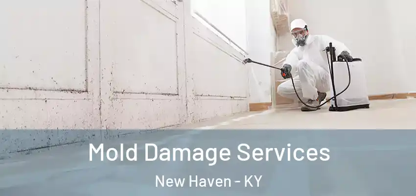  Mold Damage Services New Haven - KY