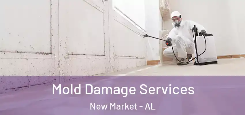 Mold Damage Services New Market - AL