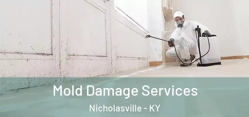  Mold Damage Services Nicholasville - KY