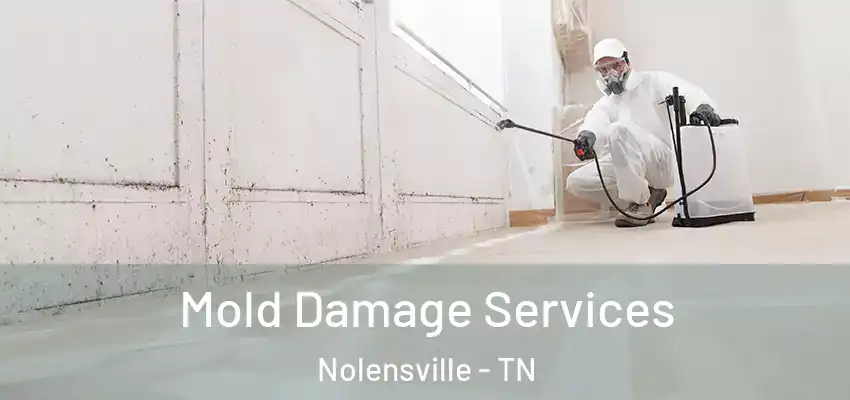 Mold Damage Services Nolensville - TN