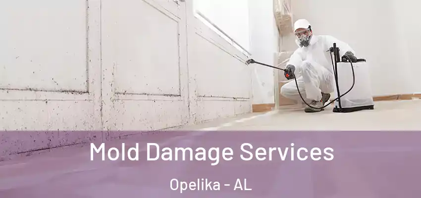  Mold Damage Services Opelika - AL