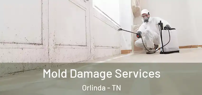 Mold Damage Services Orlinda - TN