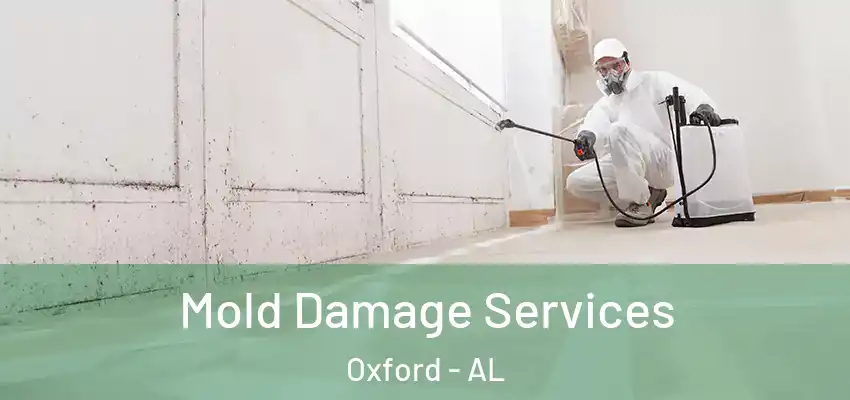 Mold Damage Services Oxford - AL