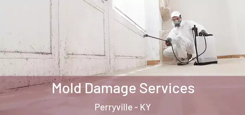  Mold Damage Services Perryville - KY