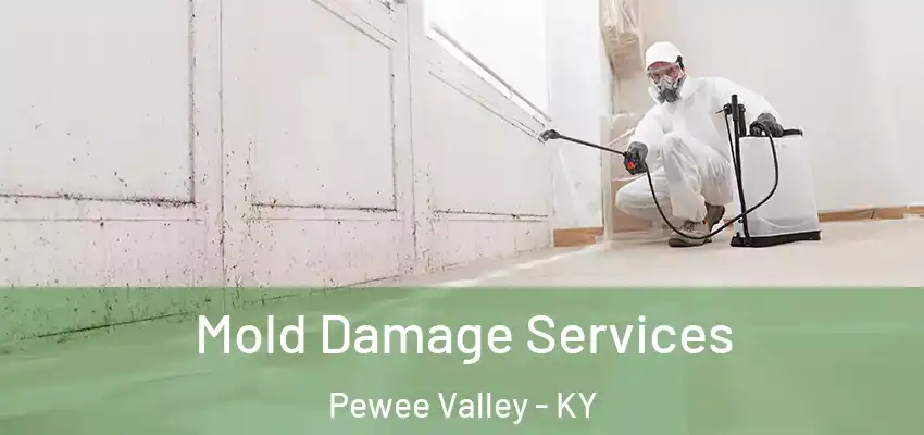  Mold Damage Services Pewee Valley - KY