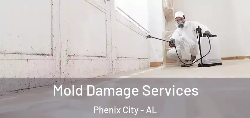 Mold Damage Services Phenix City - AL
