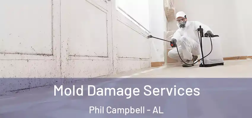  Mold Damage Services Phil Campbell - AL