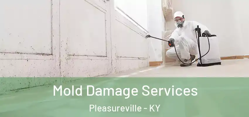 Mold Damage Services Pleasureville - KY