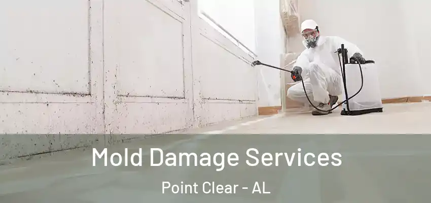 Mold Damage Services Point Clear - AL