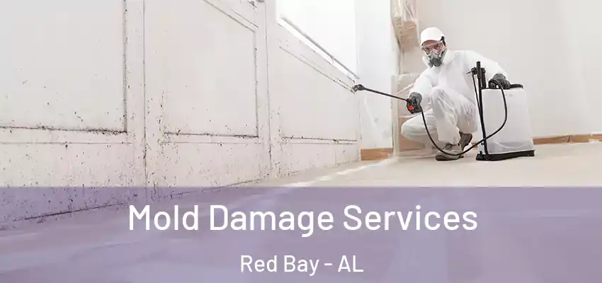  Mold Damage Services Red Bay - AL