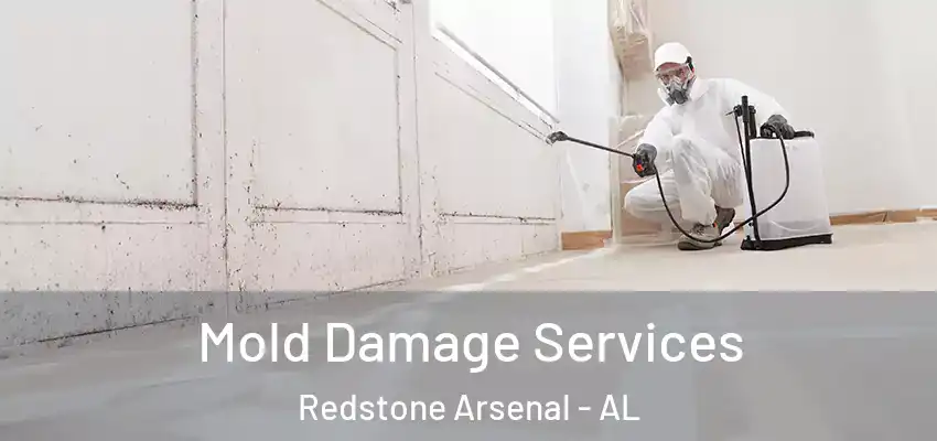  Mold Damage Services Redstone Arsenal - AL