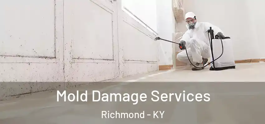  Mold Damage Services Richmond - KY