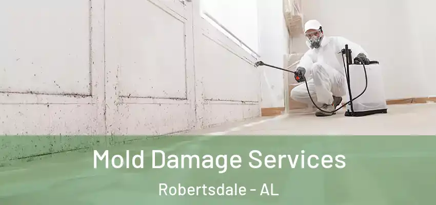 Mold Damage Services Robertsdale - AL