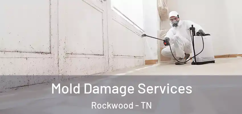  Mold Damage Services Rockwood - TN