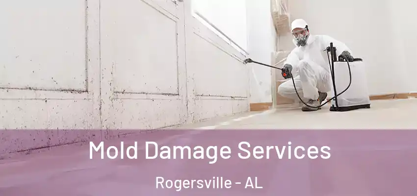  Mold Damage Services Rogersville - AL