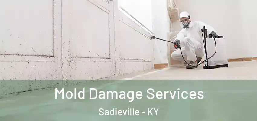 Mold Damage Services Sadieville - KY
