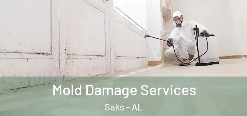  Mold Damage Services Saks - AL
