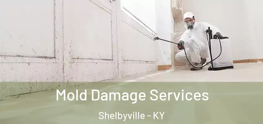 Mold Damage Services Shelbyville - KY