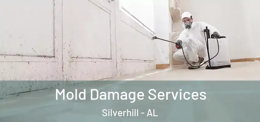 Mold Damage Services Silverhill - AL