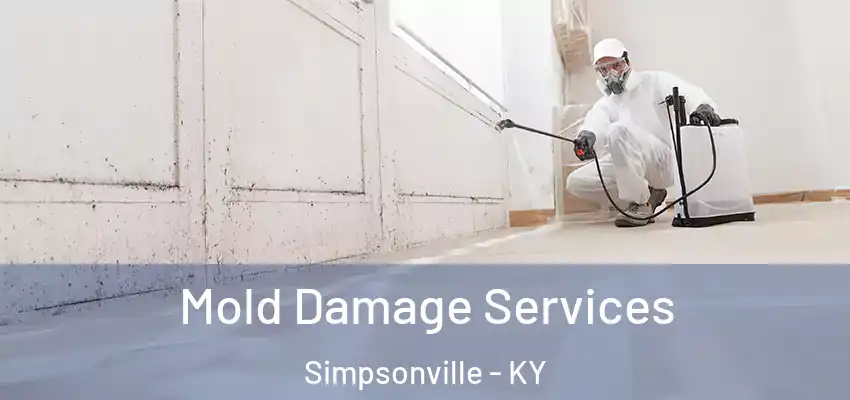 Mold Damage Services Simpsonville - KY
