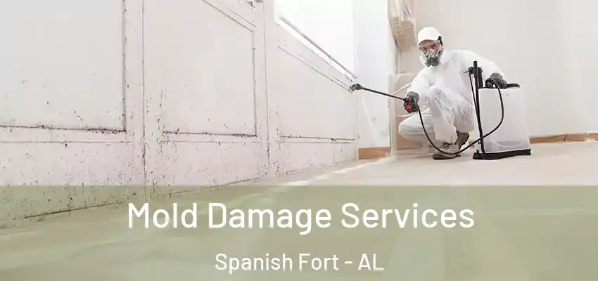 Mold Damage Services Spanish Fort - AL