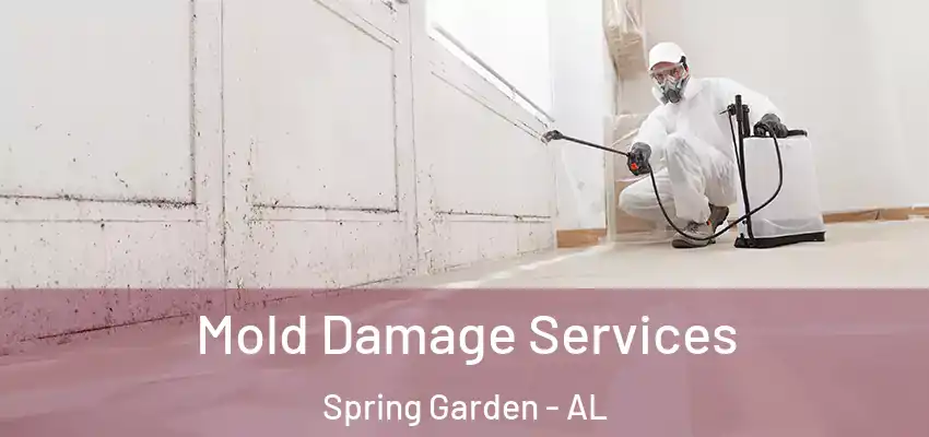 Mold Damage Services Spring Garden - AL
