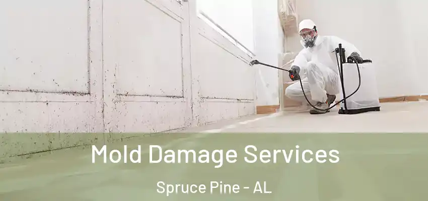  Mold Damage Services Spruce Pine - AL