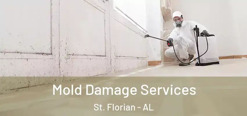 Mold Damage Services St. Florian - AL