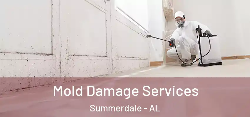 Mold Damage Services Summerdale - AL