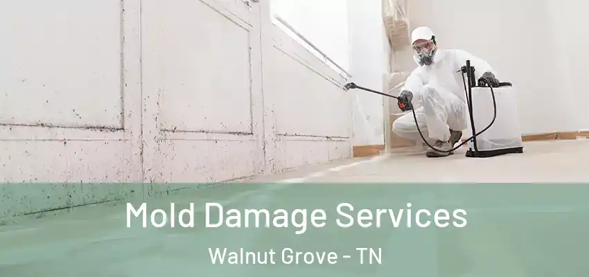 Mold Damage Services Walnut Grove - TN