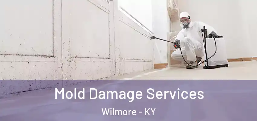  Mold Damage Services Wilmore - KY