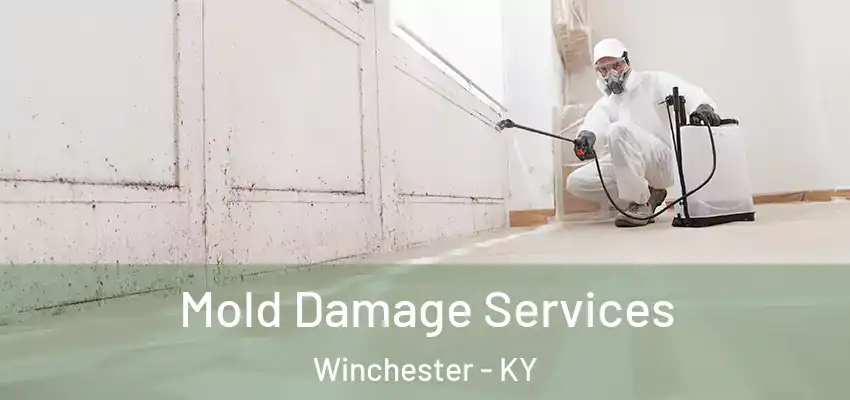 Mold Damage Services Winchester - KY