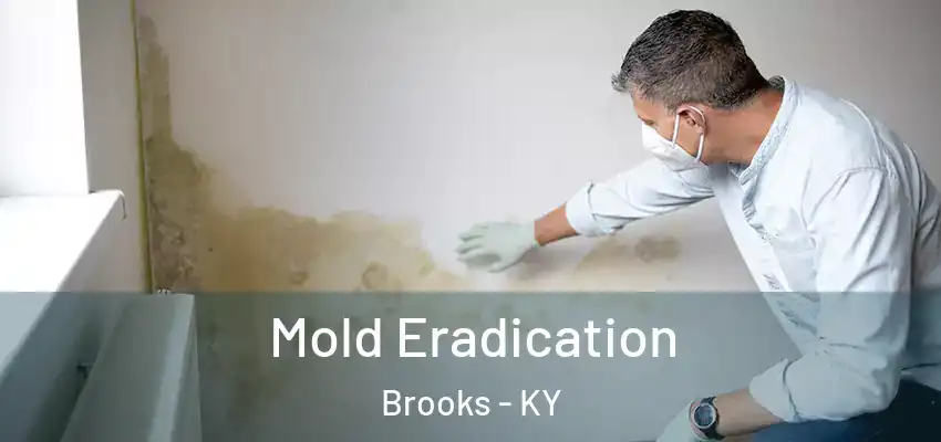  Mold Eradication Brooks - KY