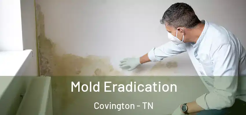  Mold Eradication Covington - TN