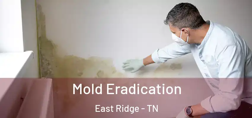  Mold Eradication East Ridge - TN