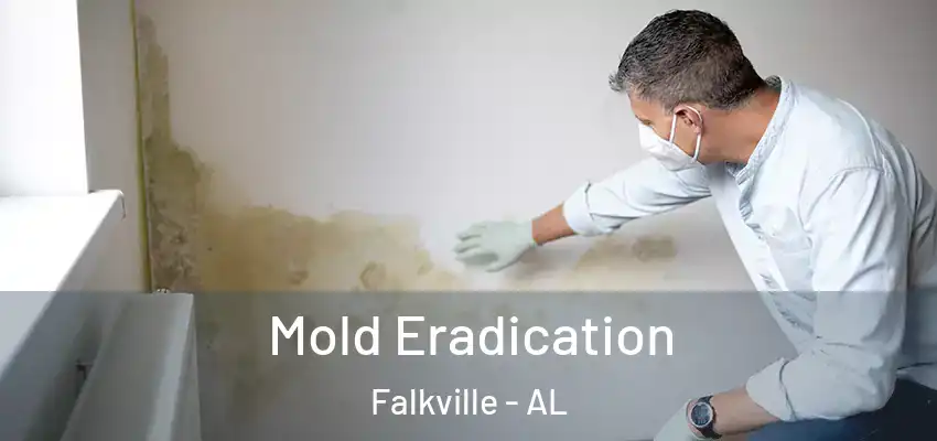 Mold Eradication Falkville - AL