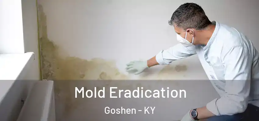 Mold Eradication Goshen - KY
