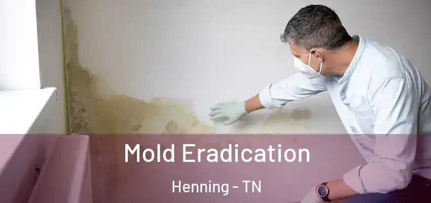 Mold Eradication Henning - TN