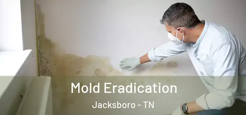 Mold Eradication Jacksboro - TN