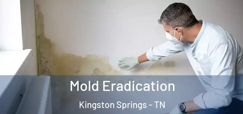  Mold Eradication Kingston Springs - TN