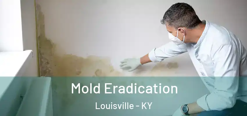  Mold Eradication Louisville - KY